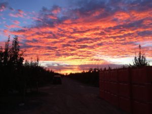 Sunrise picking apples in Shepparton