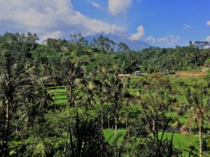 Featured image for what's to see from Ubud to Amed