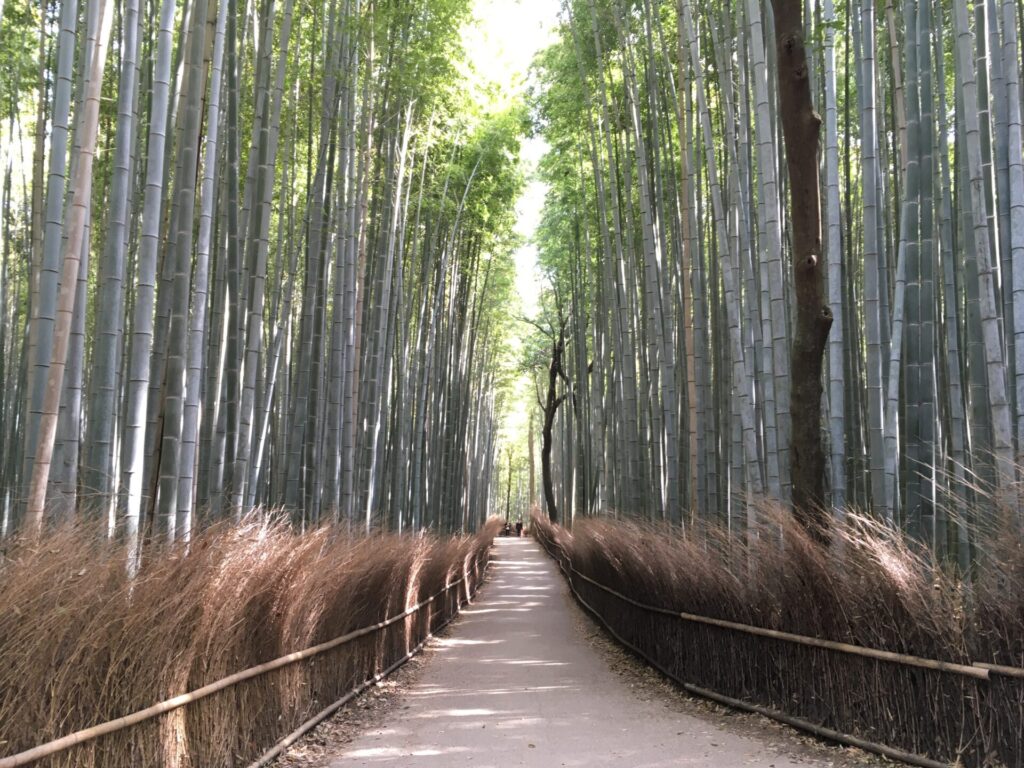 Arashiyama Bamboo Forest